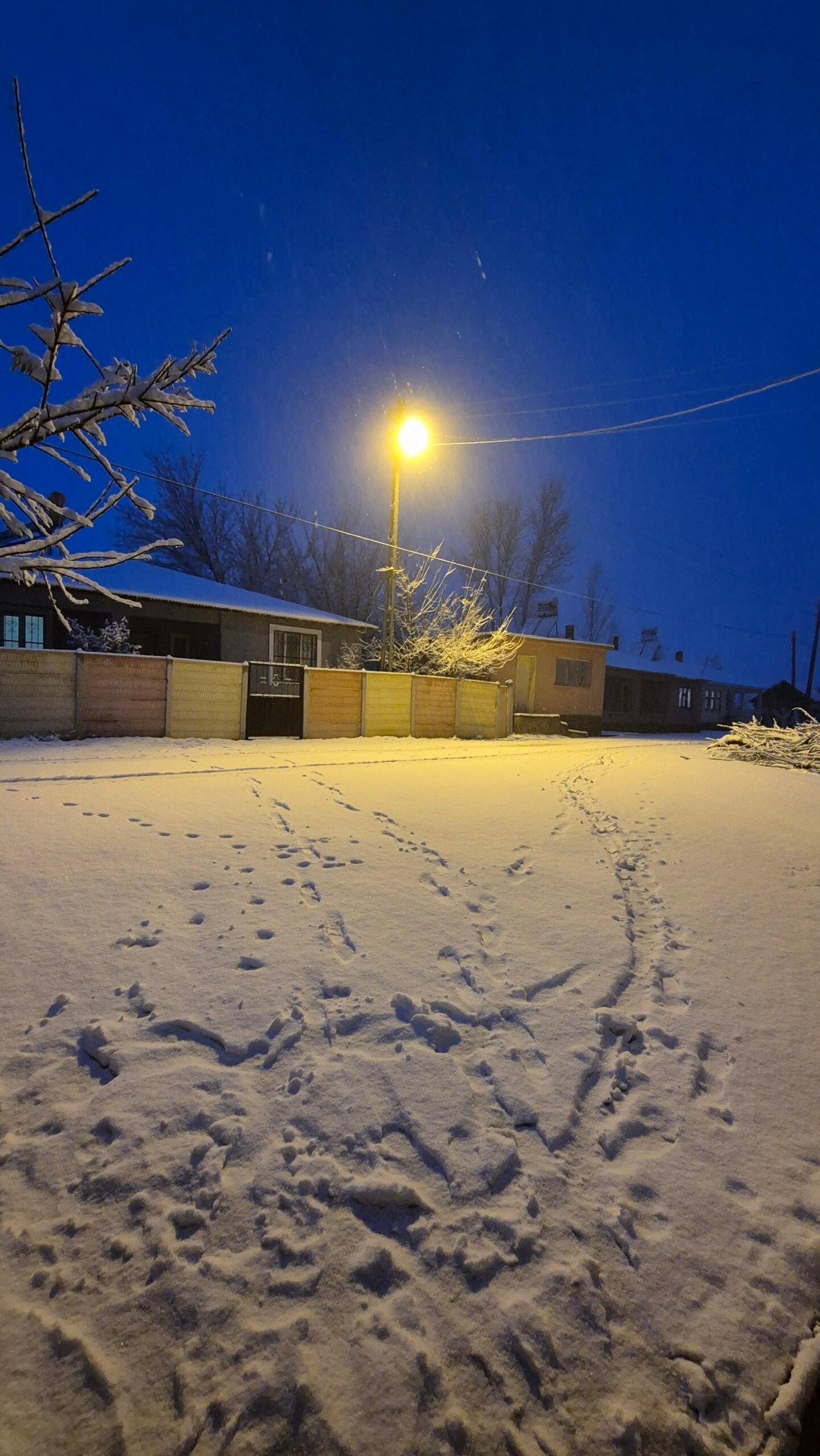 Fotoğraf: Kemal Batur 