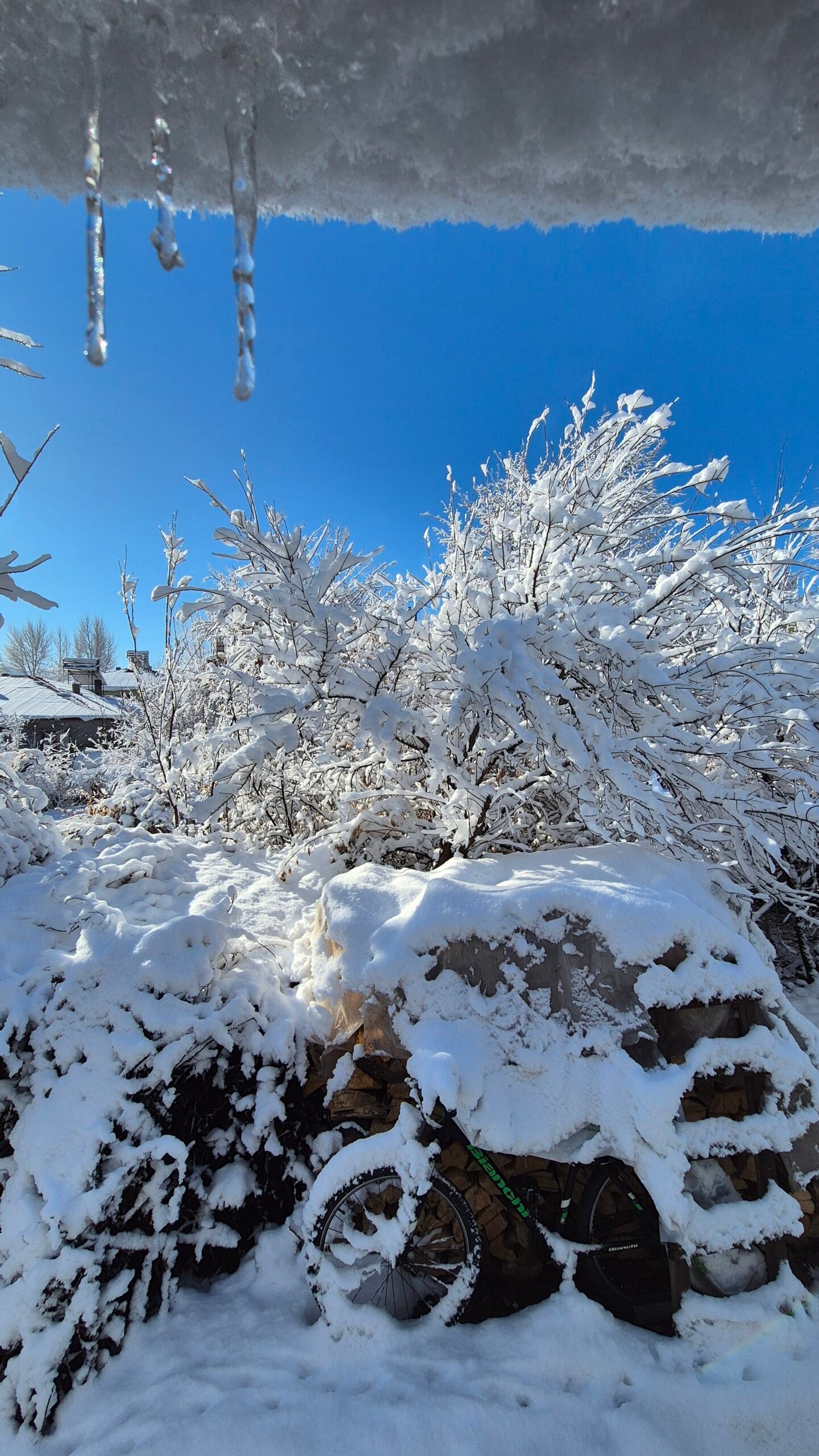 Fotoğraflar: ajanshaber12.com 