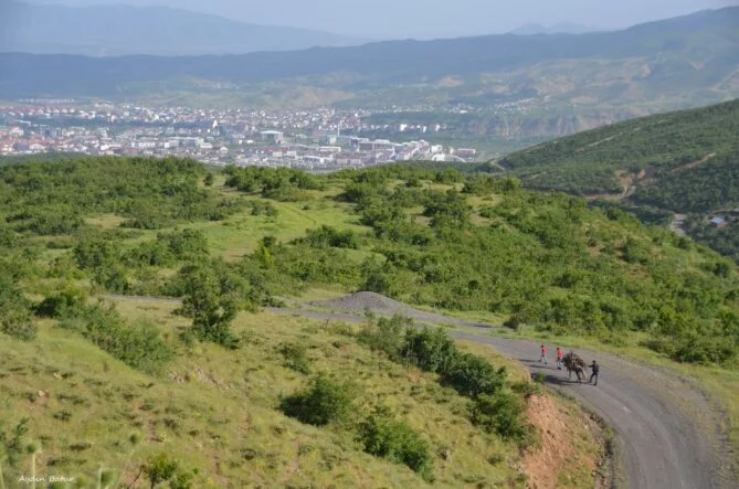 474007591_1011832537638779_6444800153753409862_n