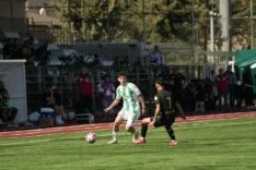 d7c72a60-97cc-4939-ab44-33b19dca52fc