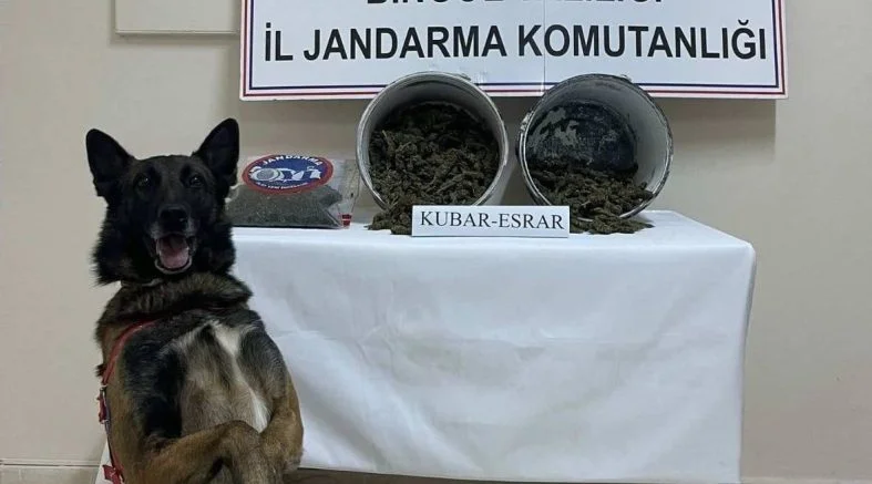 ef577328-9583-4954-aea2-c22f3ca0266b-787x437 (1)