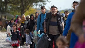 1621179920Başlıksız-6