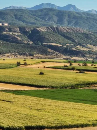 IMG_20250919_132737_019