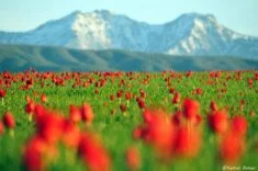 FB_IMG_1714589284946