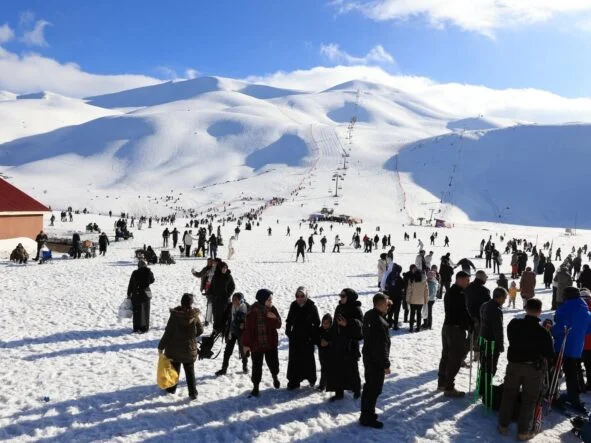 FB_IMG_1771239987357