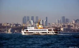 FB_IMG_1771321139600