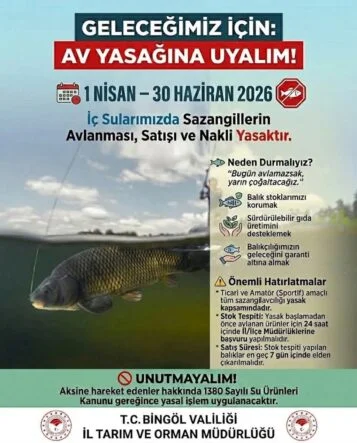 FB_IMG_1774976683717