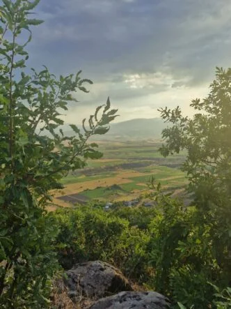 Türkiye’nin Orman Varlığı 8 Yılda Büyük Kayıp Yaşadı