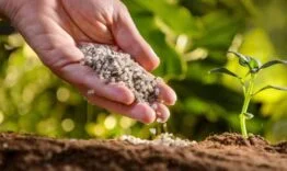 gubre-cesitleri-ile-dogru-gubreleme-nasil-yapilir