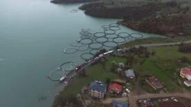 FB_IMG_1775811423860