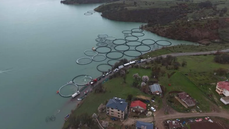 FB_IMG_1775811423860