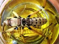 FB_IMG_1776260502855