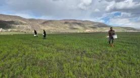 WhatsApp Image 2026-04-09 at 15.04.51