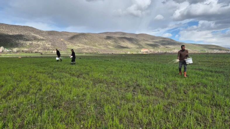 WhatsApp Image 2026-04-09 at 15.04.51