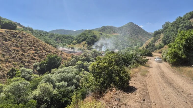 Bingöl’de Orman Kesimleri Tartışması: Çevrecilerden Şeffaflık ve Denetim Çağrısı