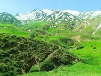 IMG-20260722-WA0001