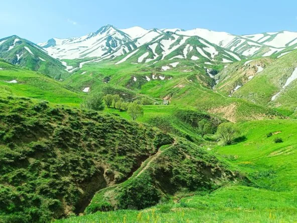 IMG-20260722-WA0001